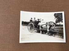 CLERICAL HORSE  GIG LYFORD