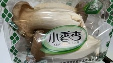 FRESH KING OYSTER MUSHROOM 250G （TRAY）杏鮑菇