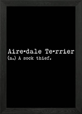 Airedale Dog A Sock Thief