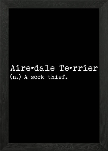 Airedale dog sock thief - airedale, a