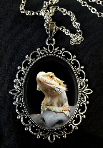 Bearded dragon large antique - bearded,