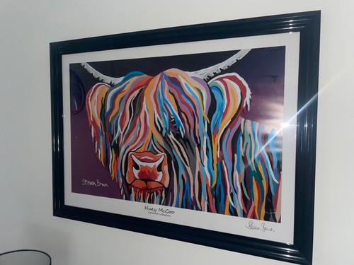 Steven brown mccoo rare - steven,