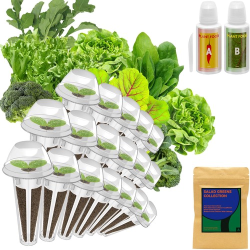 Salad greens seed pod kit - pod,