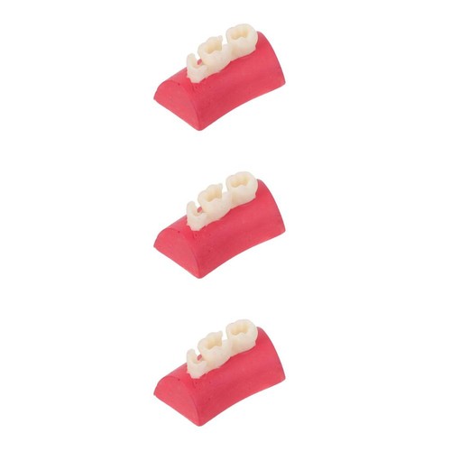 3pcs clear anatomy model - clear,