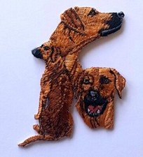 Rhodesian Ridgeback Dog Heat