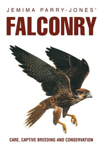 Falconry care captive - falconry:, care,