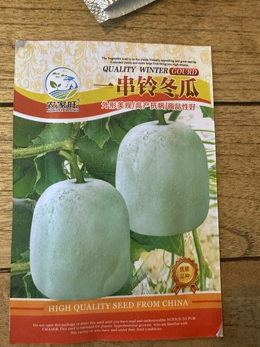 Chinese quality winter - quality, gourd