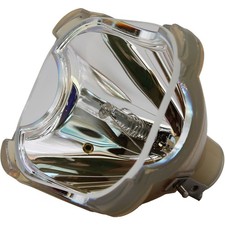 OEM Replacement Bulb for The