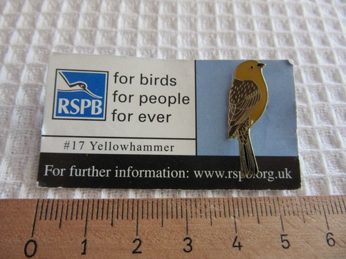 Rspb fbfpfe 17 yellowhammer - fbfpfe,