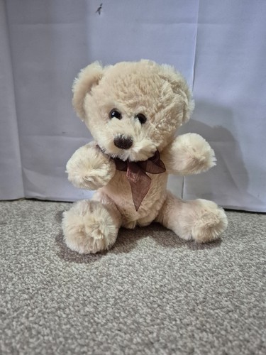 Small soft teddy - teddy, toy