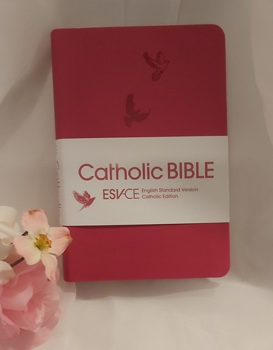 Catholic bible english - bible,