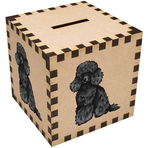 Black toy poodle - 'black, /
