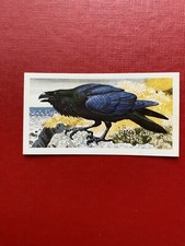 Brook Bond - Bird Portraits (With Address) #1 - 1957 - Excellent - Only 87p Post