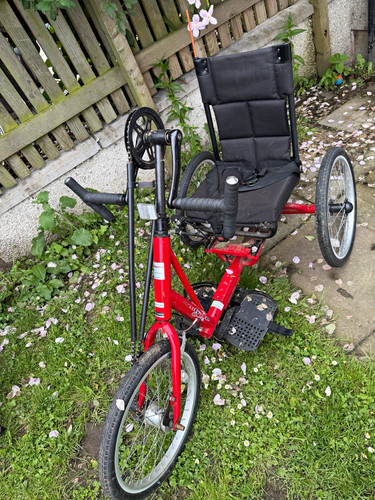 Red adult recumbent - red,
