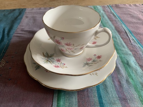 Vintage roslyn bone china - vintage,