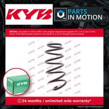 2x Coil Springs (Pair Set)