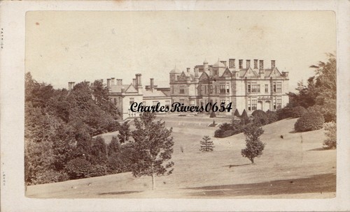Leven cdv house falkland - cdv,