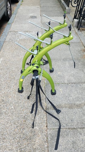 Saris bones rear - bones, 3