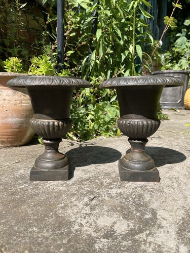 Gorgeous pair miniature - a,
