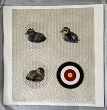 Charming Baker, Sitting Ducks