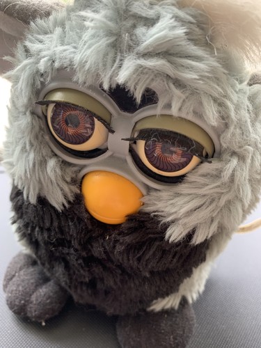 Furby koala black - koala, gray