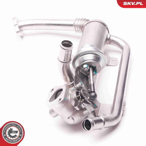Fits skv germany 14skv118 egr - skv,
