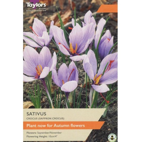 Taylors sativus saffron - 12,