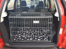 Pet world ford ecosport - pet,