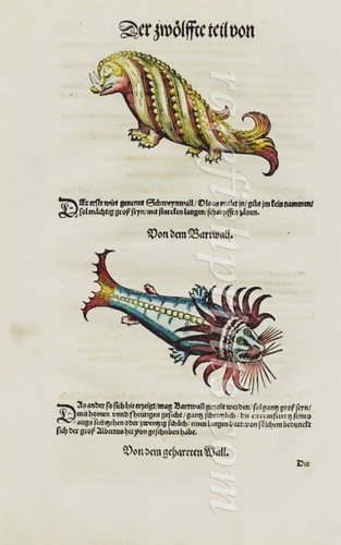 Sea monsters conrad gesner - sea,