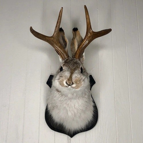 Jackalope statue wall mount - statue,
