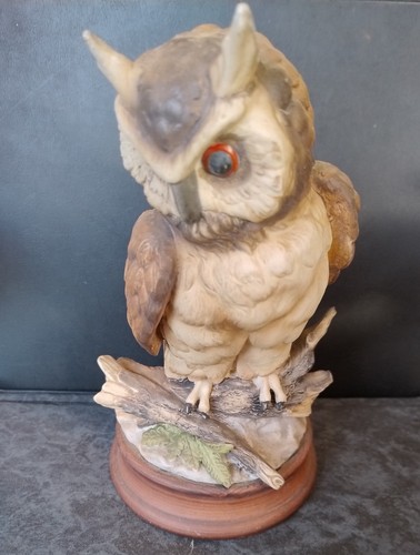 Great horned owl - owl, matte
