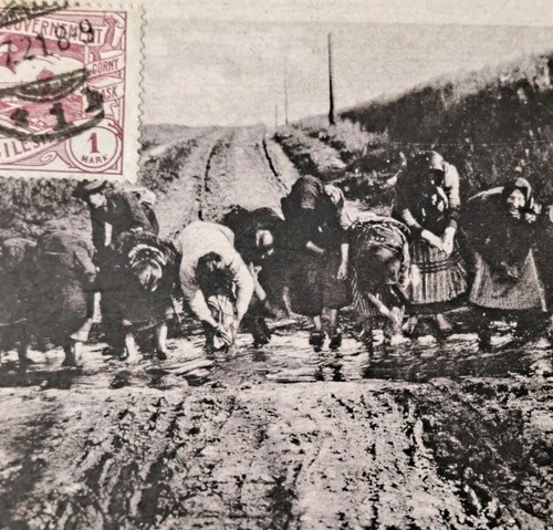 Silesia agricultural - silesia,