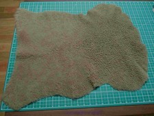 Mustard Brown Part Sheepskin Hide Soft Curly  10 mm pile - 2.25 sq ft HR089