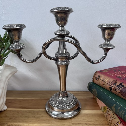 Ianthe vintage silver - vintage,