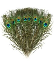 10Pcs/Pack Peacock Feathers