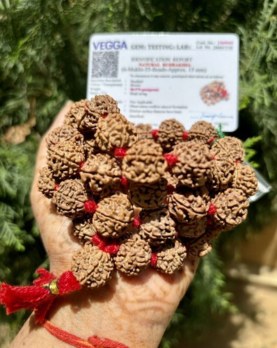 Lab certified mukhi - lab,