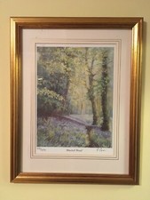 Limited Edition Print Bluebell