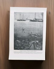 Antique 1915 Deep Sea Pearl Diver Underwater Pearling Diving Book Print Picture