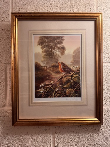 Adrian rigby the robin - adrian,