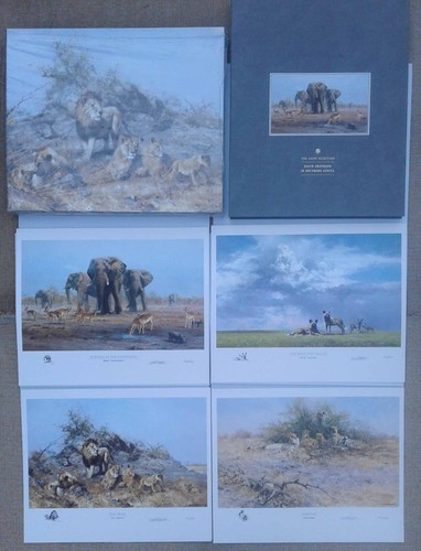 David shepherd south africa - david,