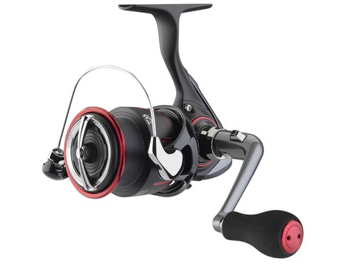 New 2026 daiwa - 25, qd