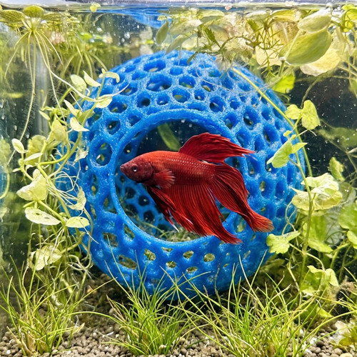 Betta fish tank cave - fish, hammock