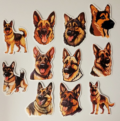 German shepard puppy dog - shepard,