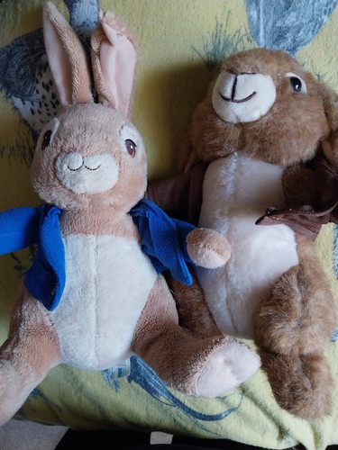 Peter rabbit and benjamin - rabbit,