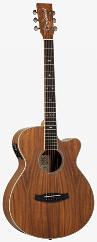 Tanglewood tru4ceak super - super, folk
