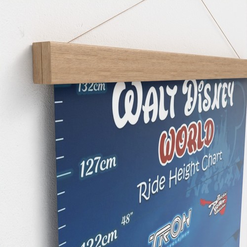 Disney world ride height chart - world,