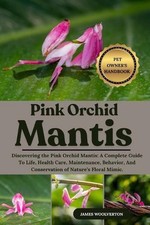 Pink orchid mantis - pink,