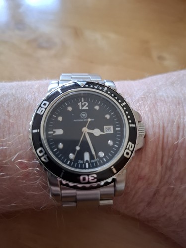 Pwc professional watch company - professional,