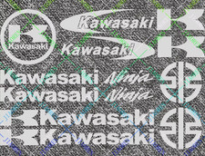 Kawasaki Racing Motorcycle