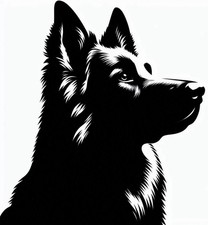 large Dog alsatian van car